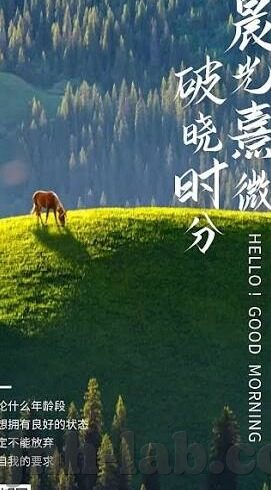 金年会